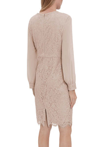 Auria Corded Lace With Chiffon Sleeve