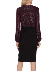 Anara Sequin And Jersey Dress